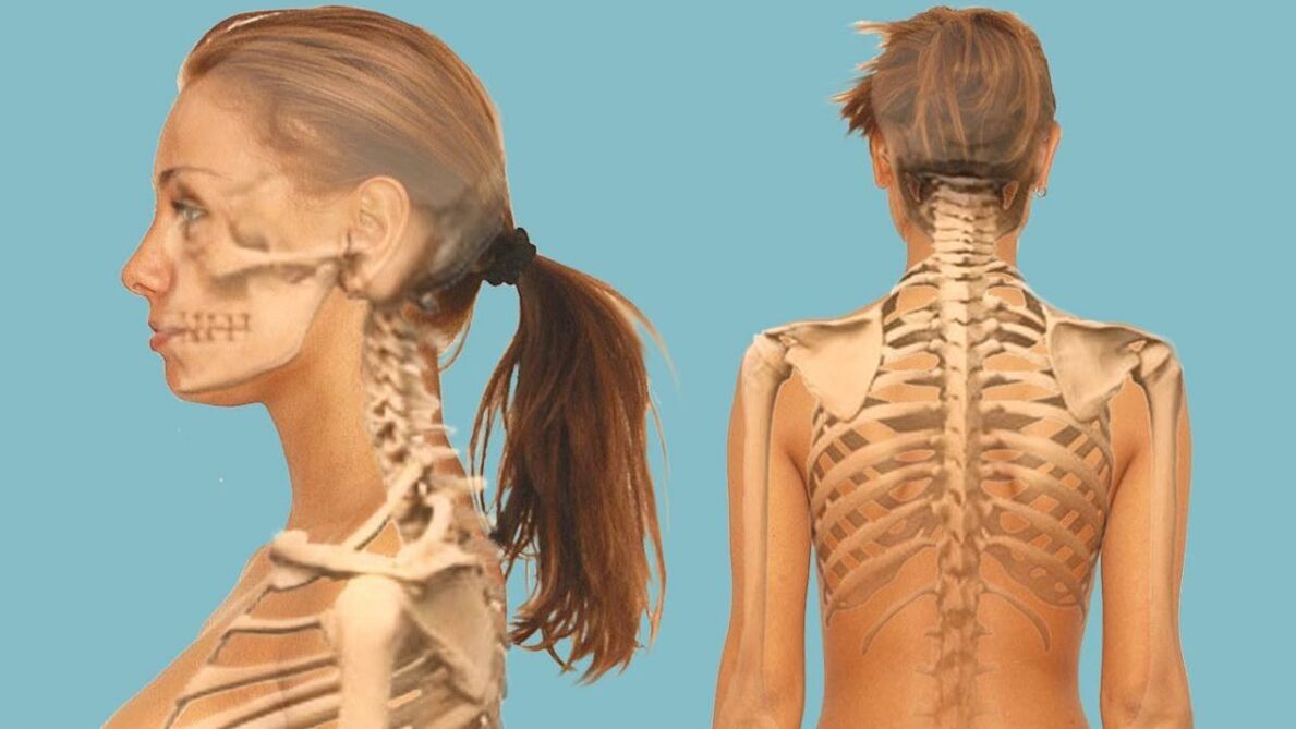 A columna cervical